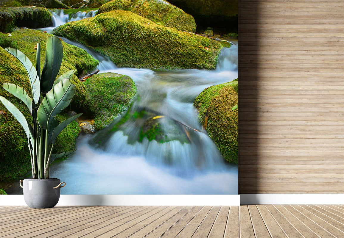 Decors Market Images for Products