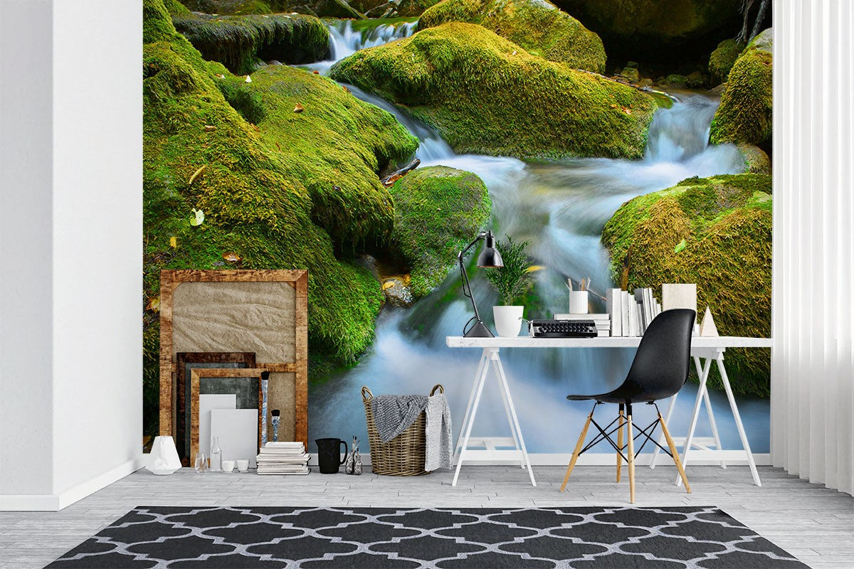 Decors Market Images for Products