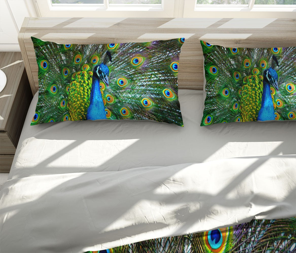 Decors Market Images for Products