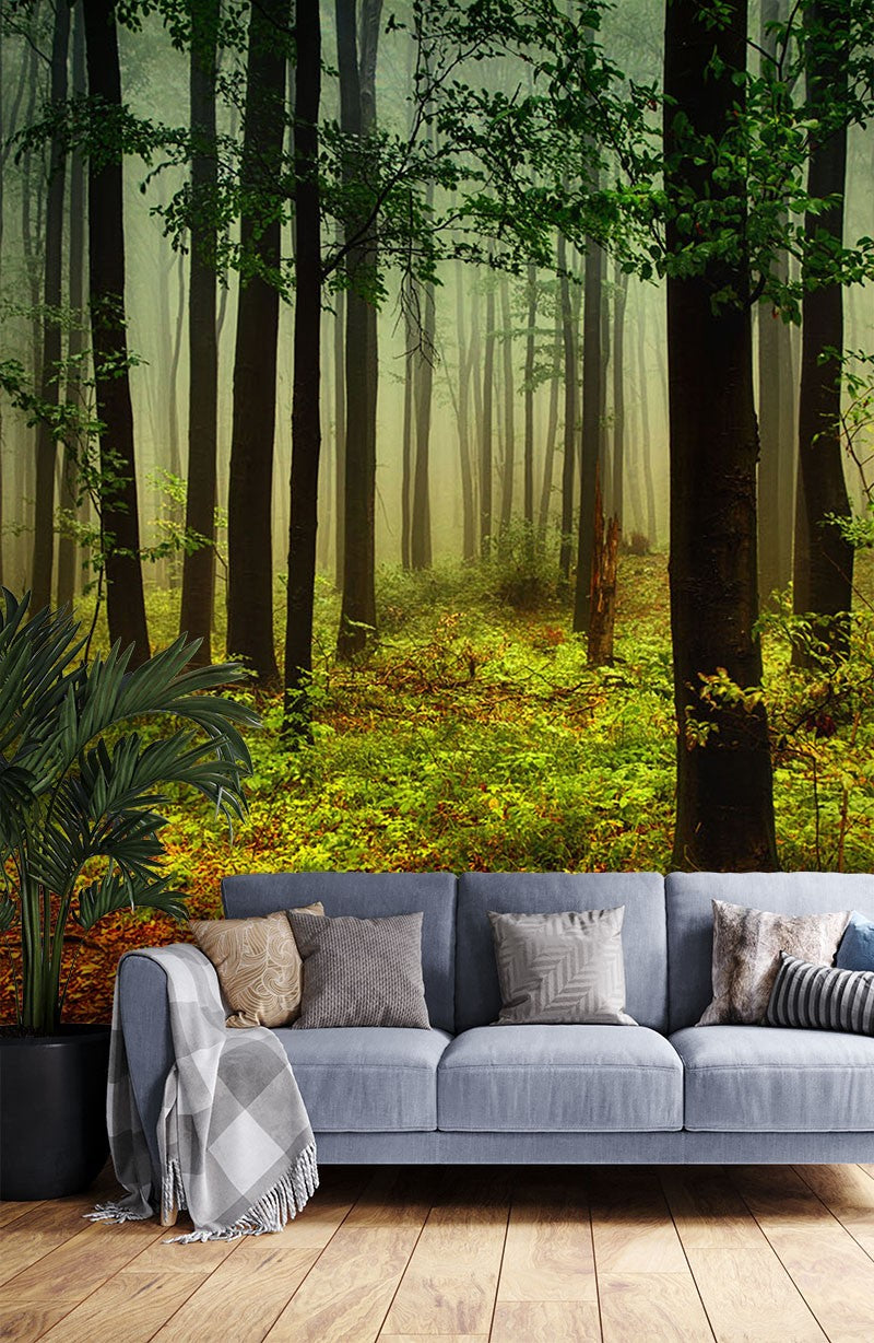 Shade Forest Seasons Green Wallpaper Mural - Decorsmarket – DecorsMarket