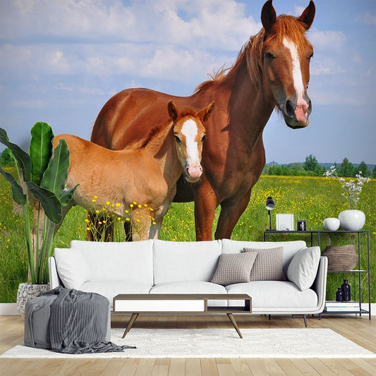 Decors Market Images for Products