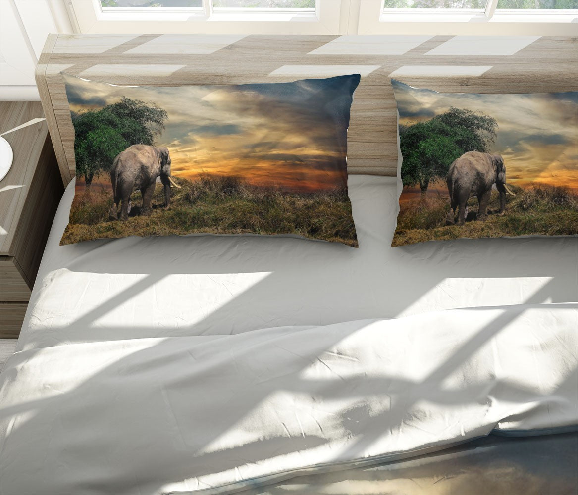 Decors Market Images for Products