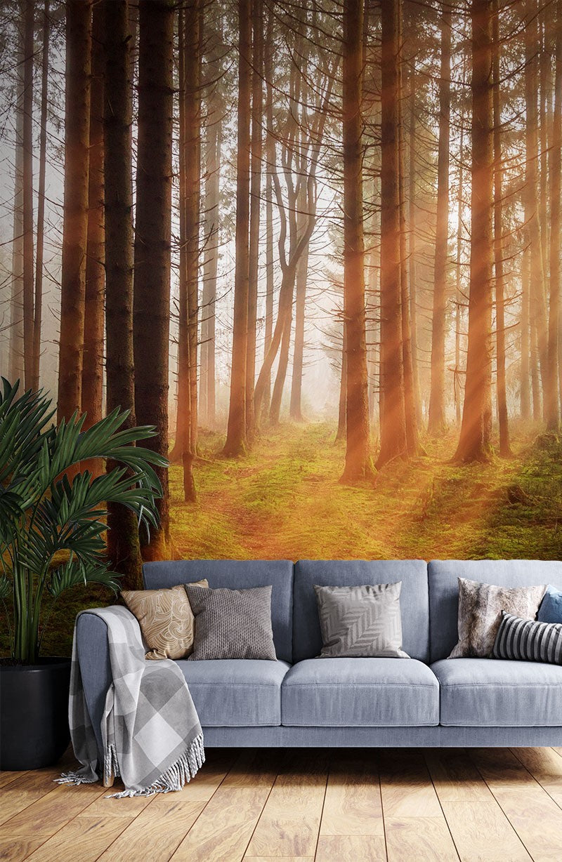 Decors Market Images for Products