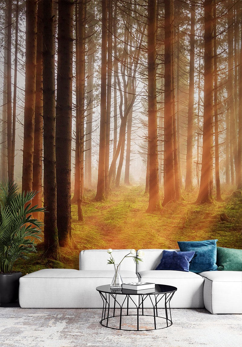 Decors Market Images for Products