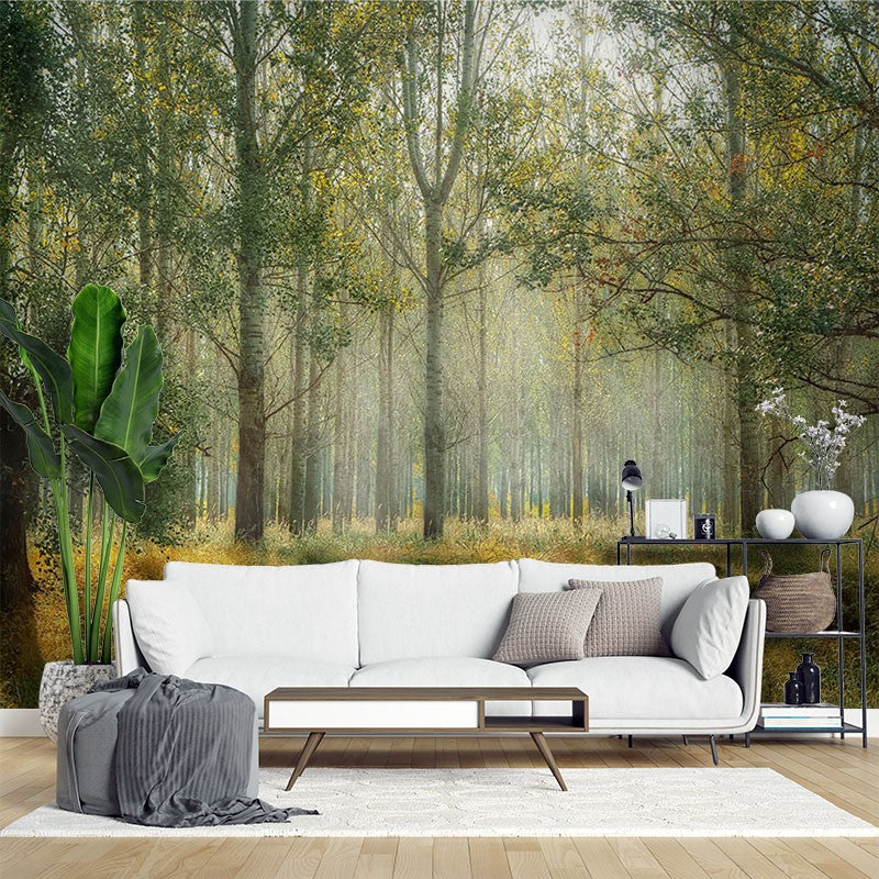 Trees Forest Green Wallpaper Mural - Decorsmarket – DecorsMarket