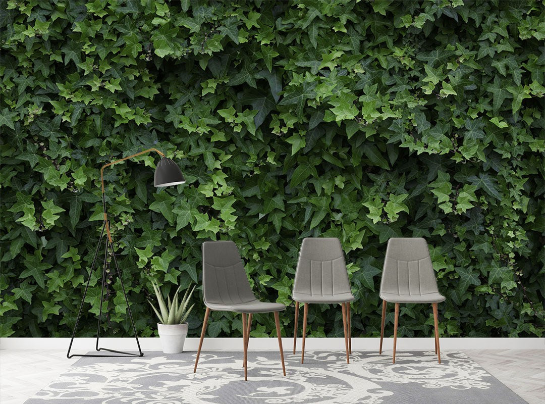 Decors Market Images for Products