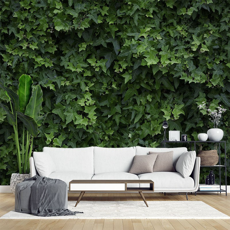 Decors Market Images for Products