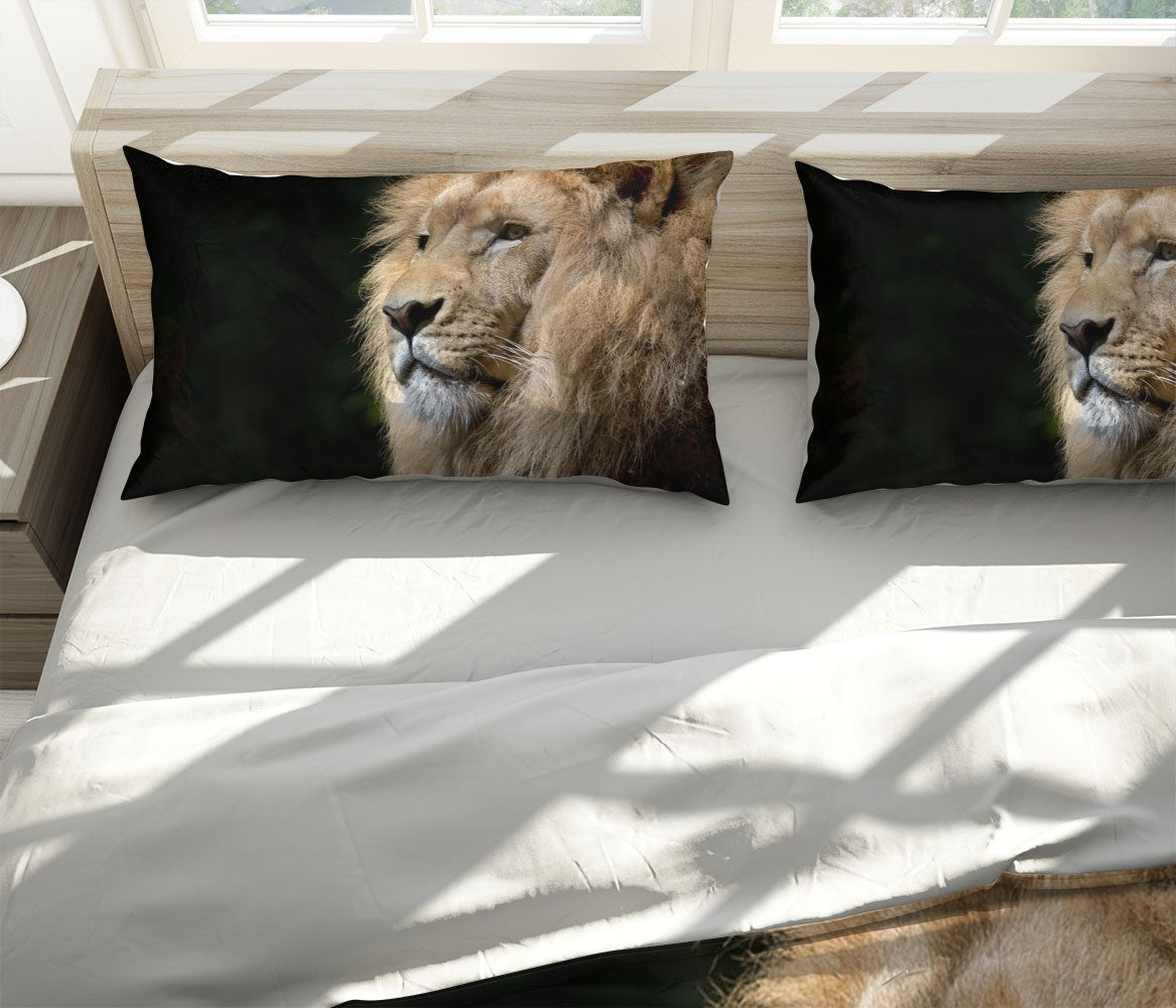 Decors Market Images for Products