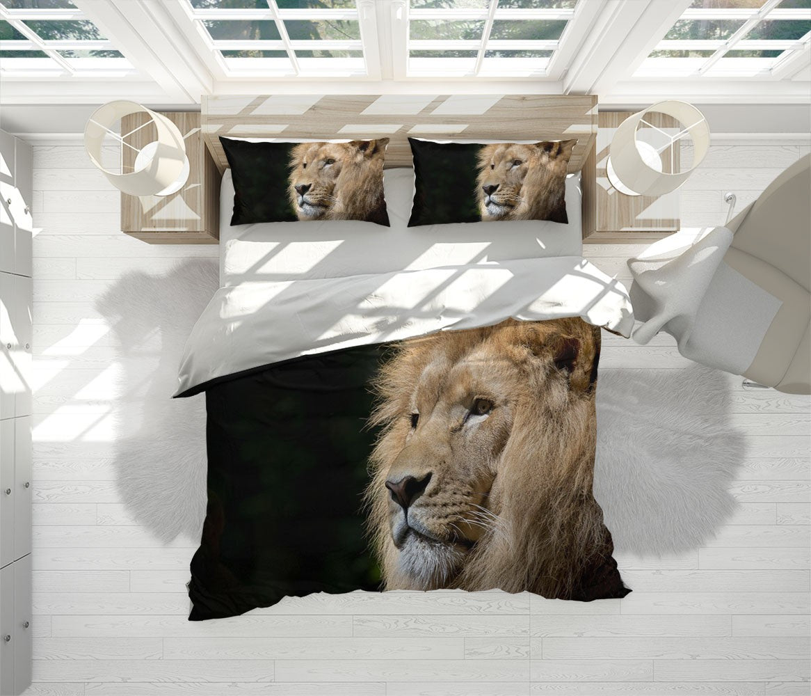 Decors Market Images for Products