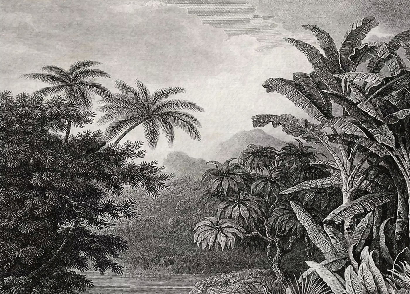 Decors Market Images for Products