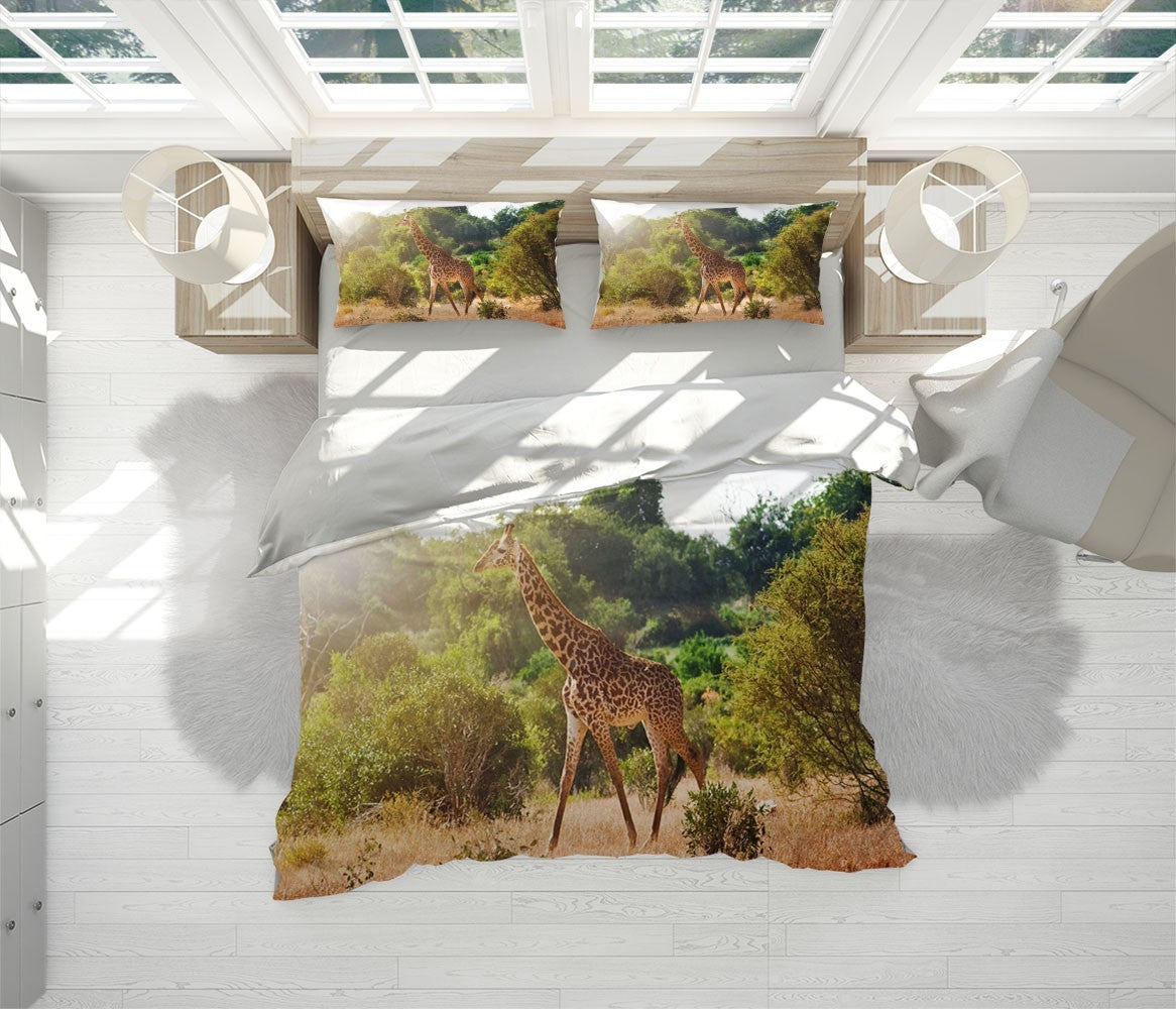 Decors Market Images for Products