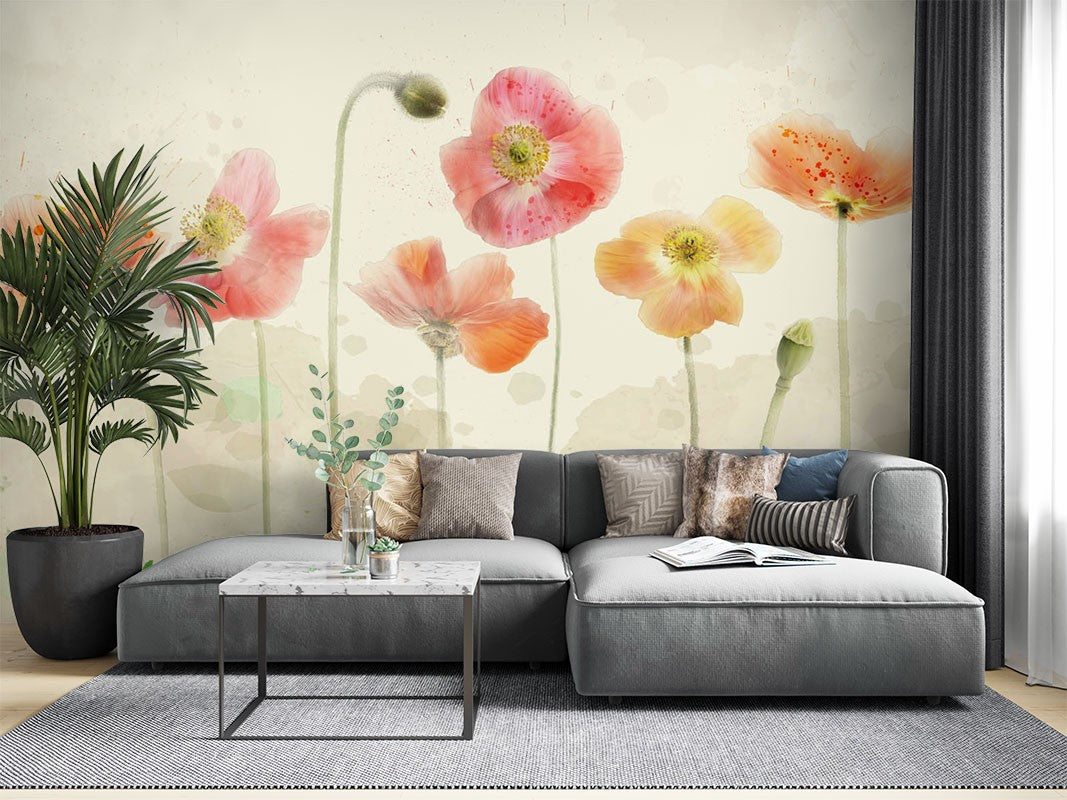 Decors Market Images for Products