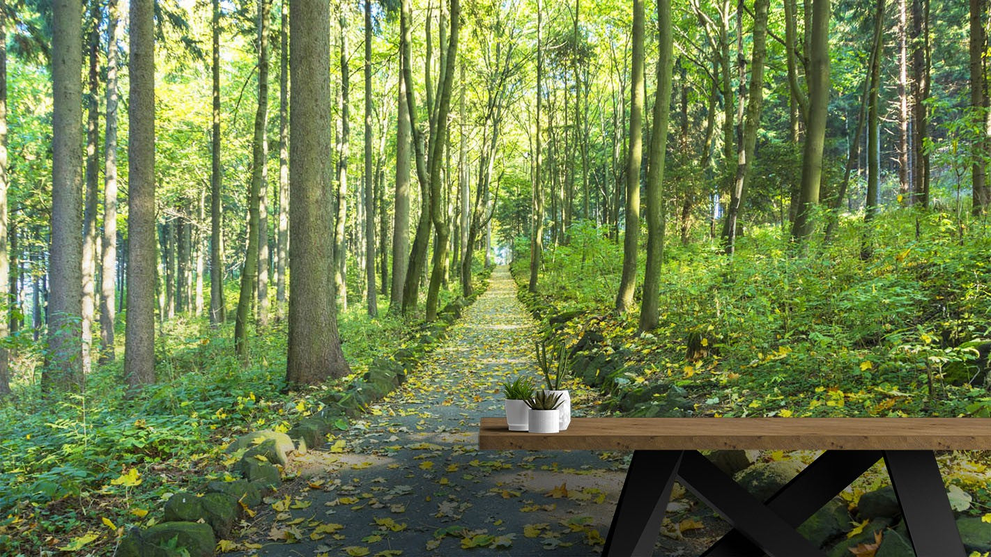 Decors Market Images for Products