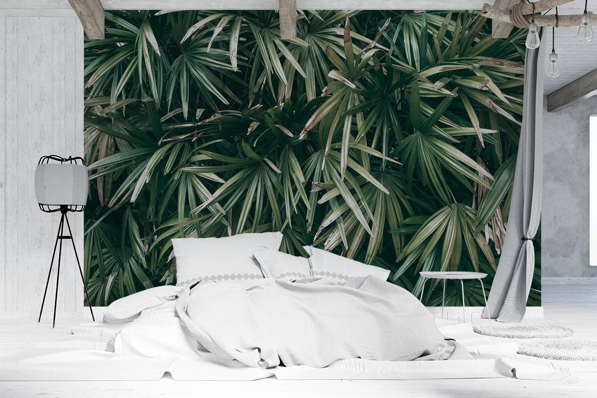 Decors Market Images for Products