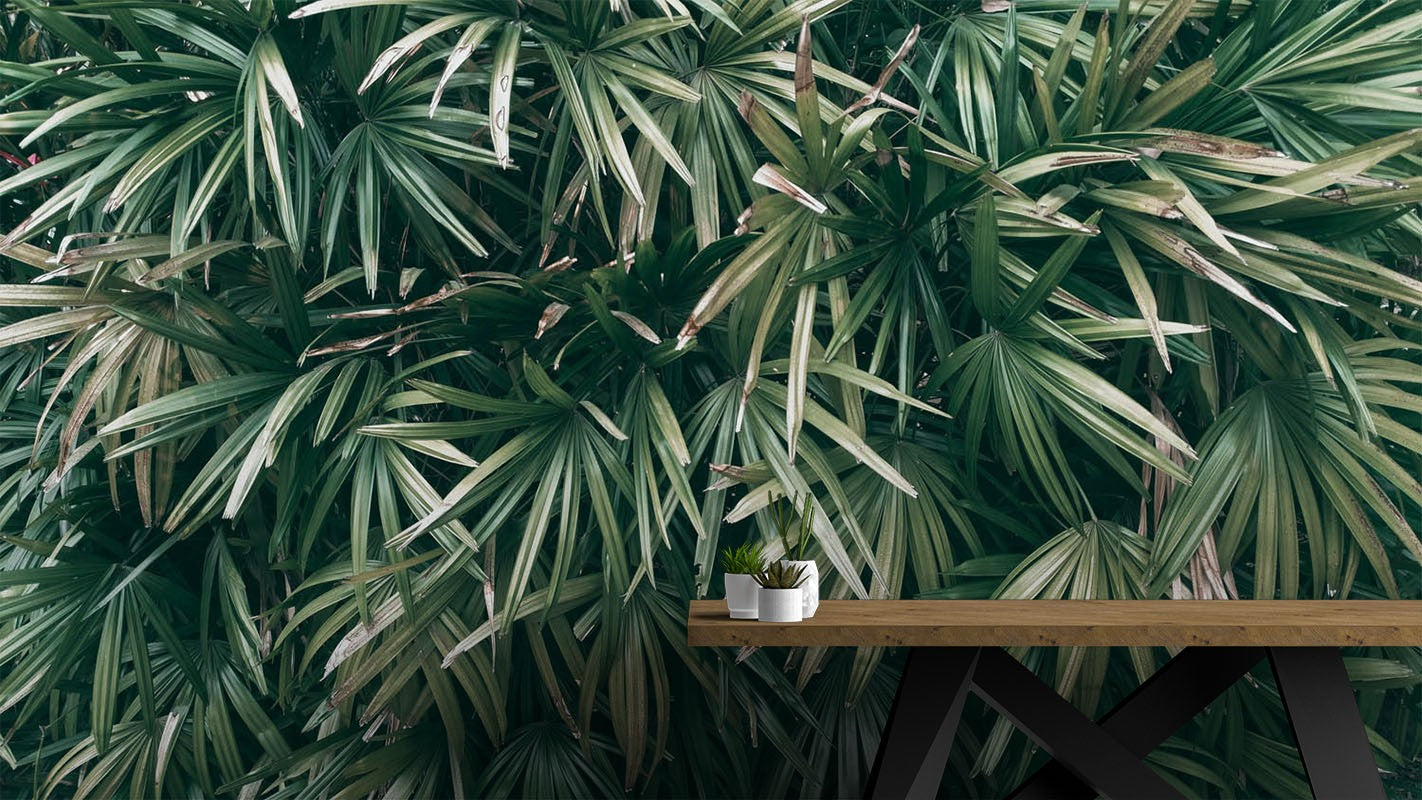 Decors Market Images for Products