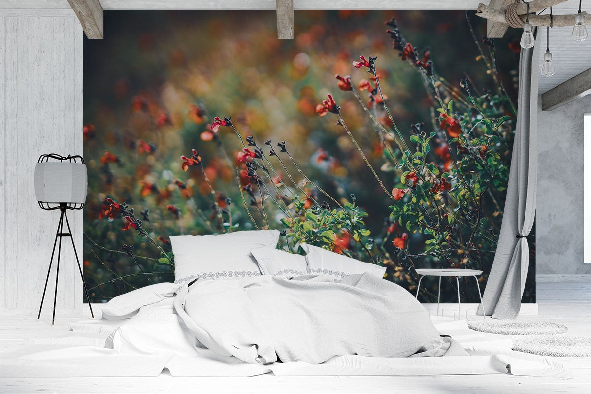 Decors Market Images for Products