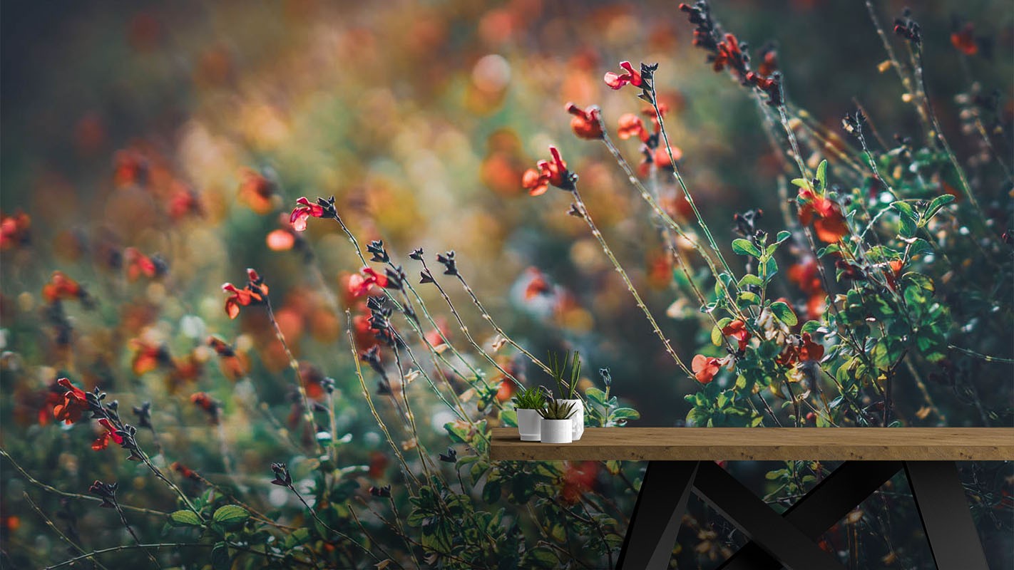 Decors Market Images for Products