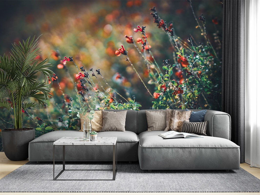 Decors Market Images for Products