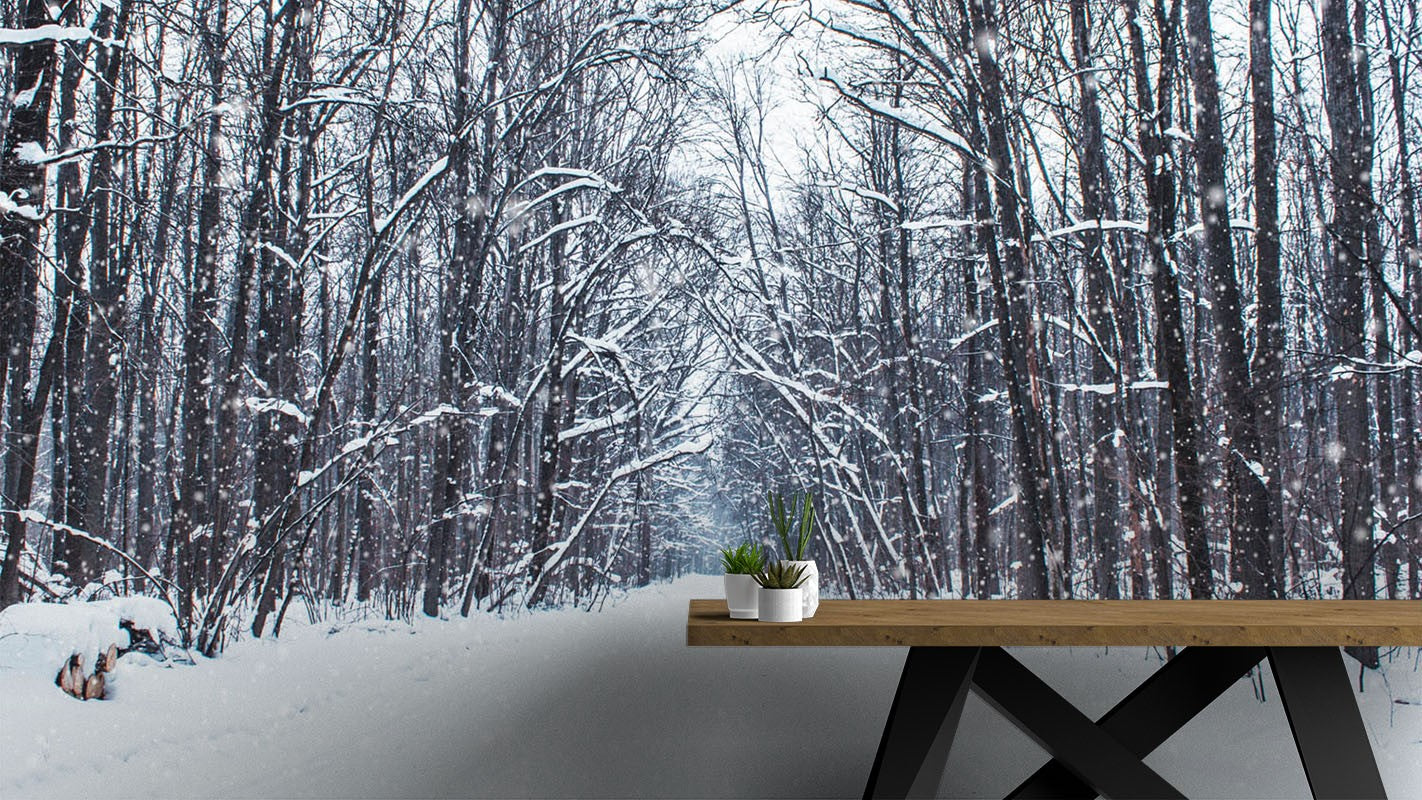 Decors Market Images for Products