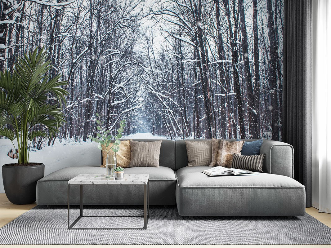 Decors Market Images for Products