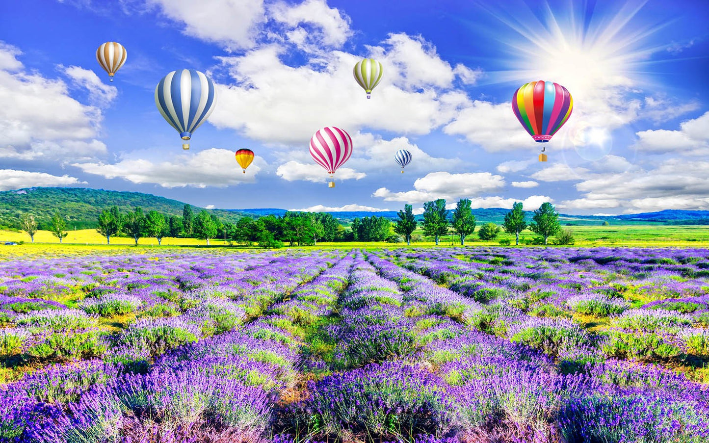 Decors Market Images for Products