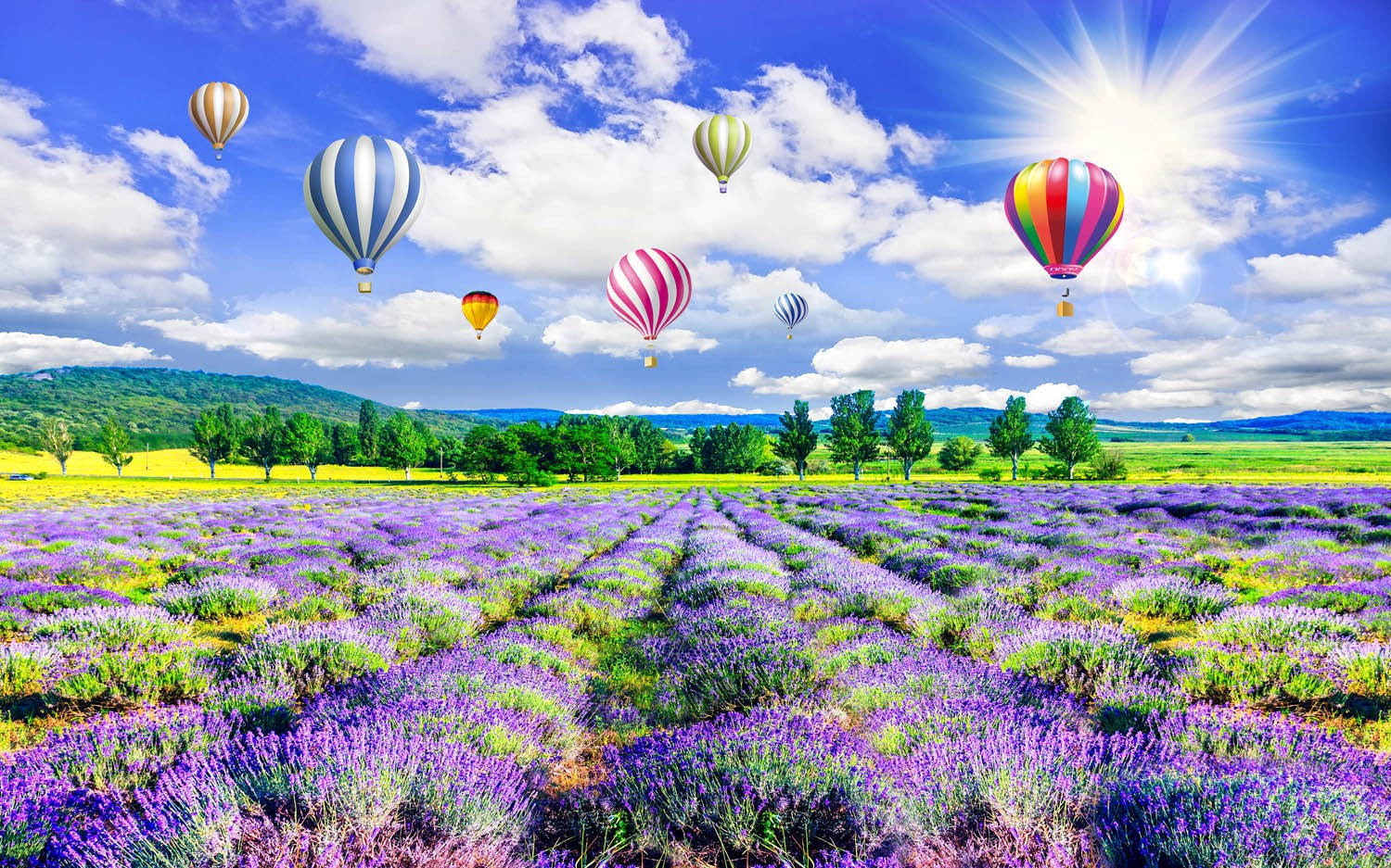 Decors Market Images for Products