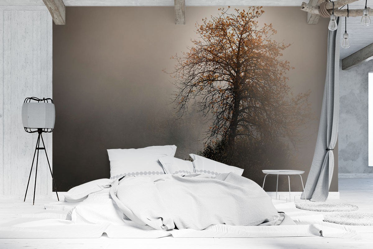 Decors Market Images for Products