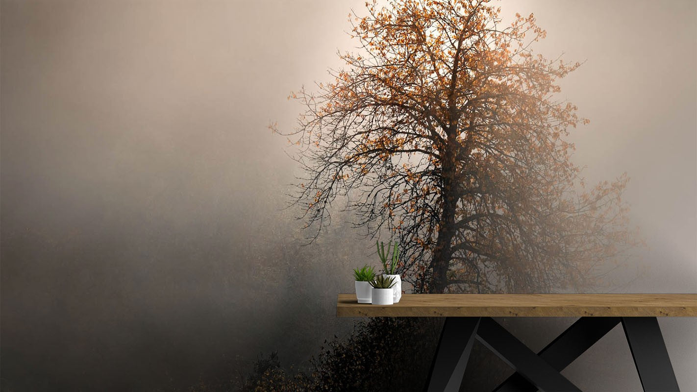 Decors Market Images for Products