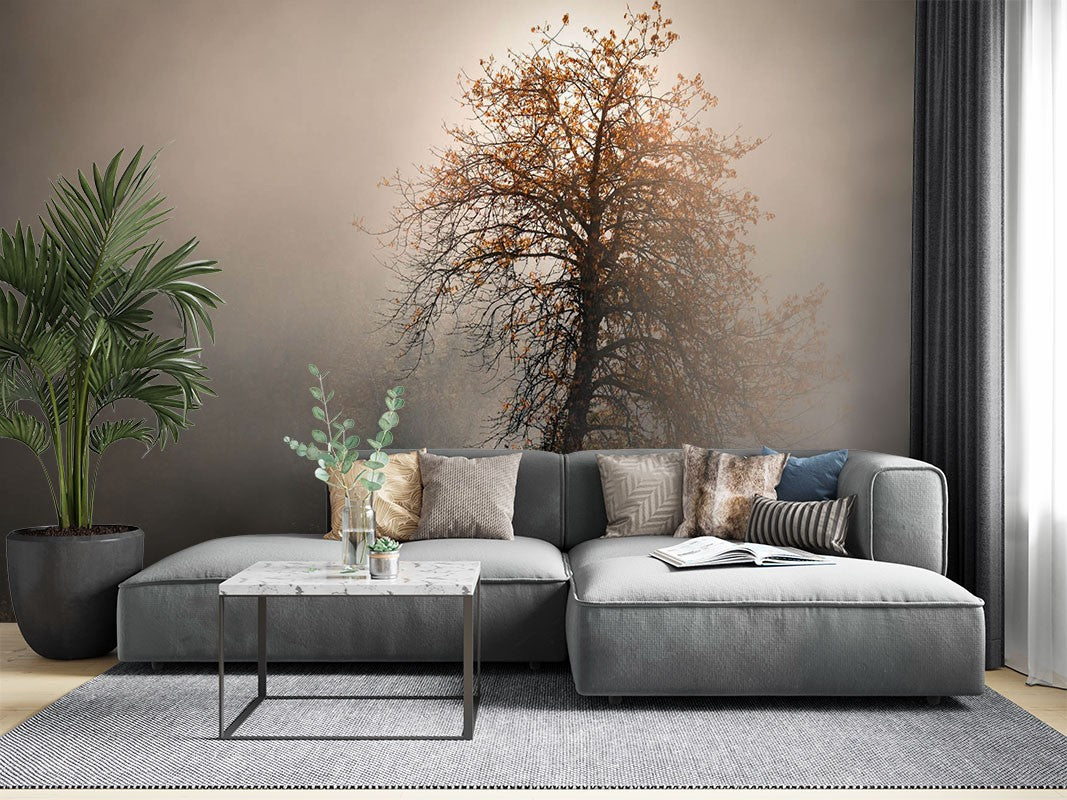 Decors Market Images for Products