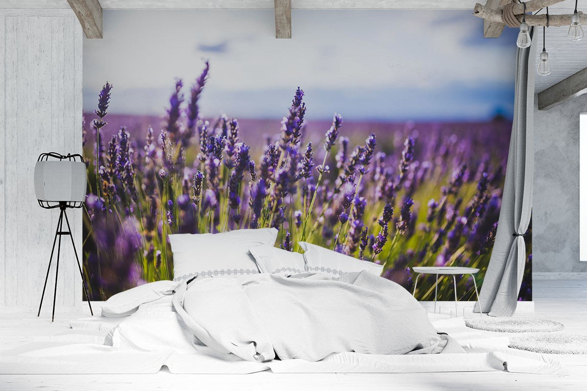 Decors Market Images for Products