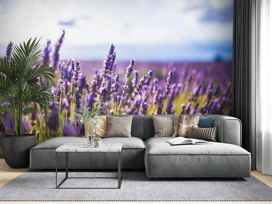 Decors Market Images for Products