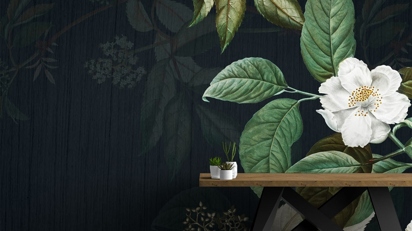 Decors Market Images for Products