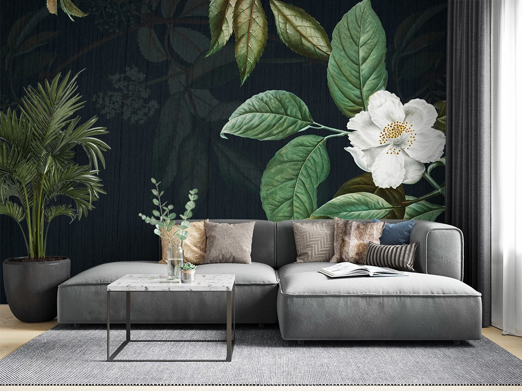 Decors Market Images for Products