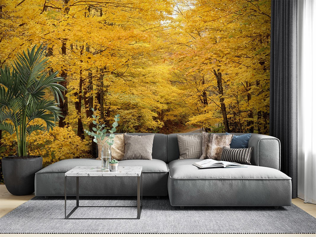 Decors Market Images for Products