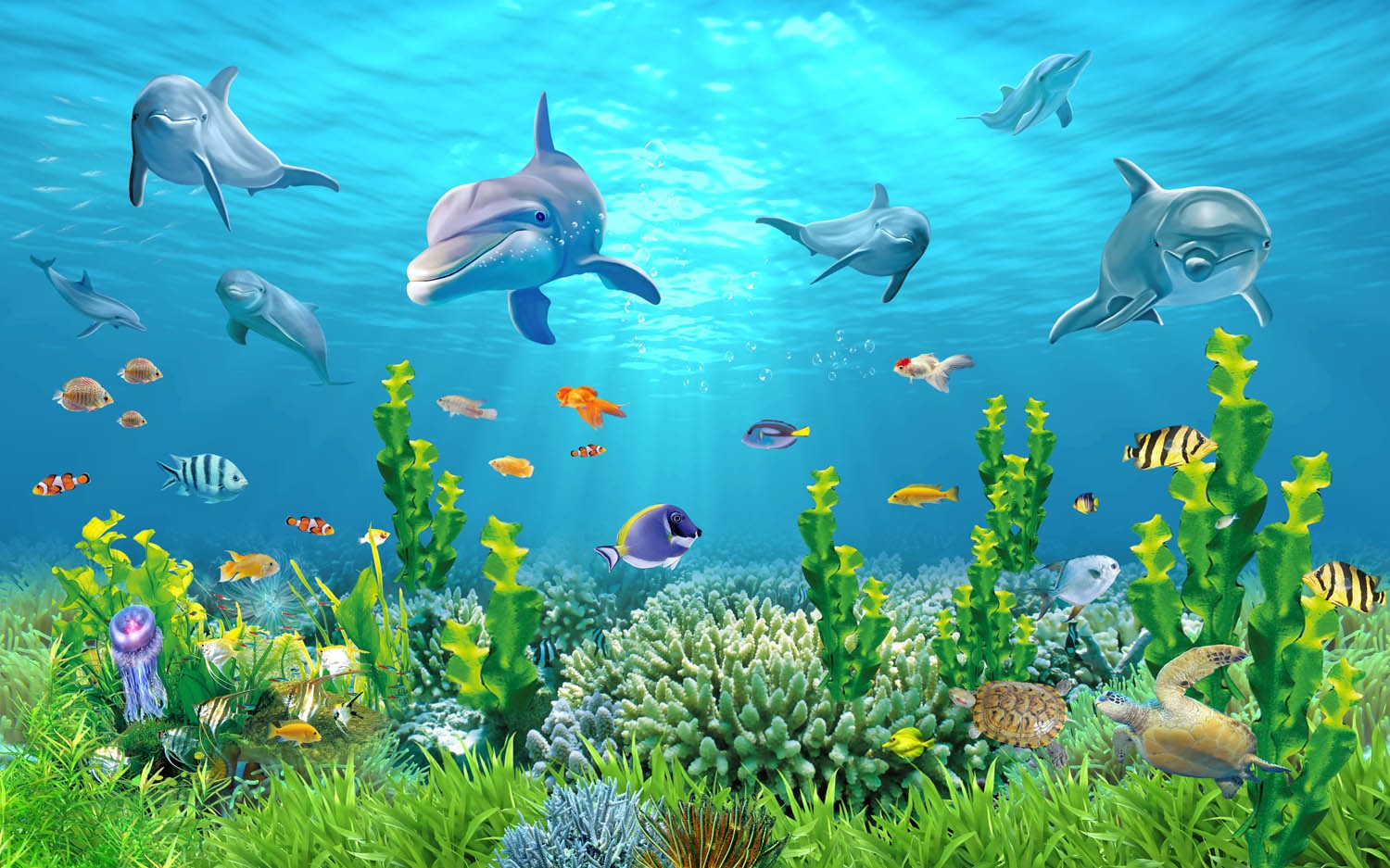 Decors Market Images for Products