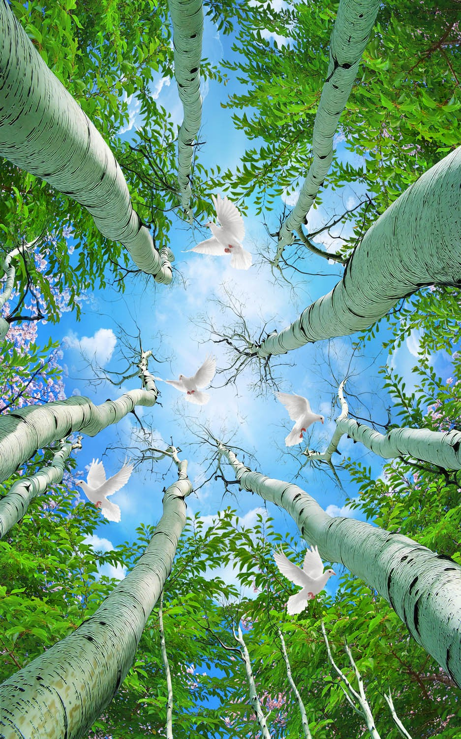 Decors Market Images for Products