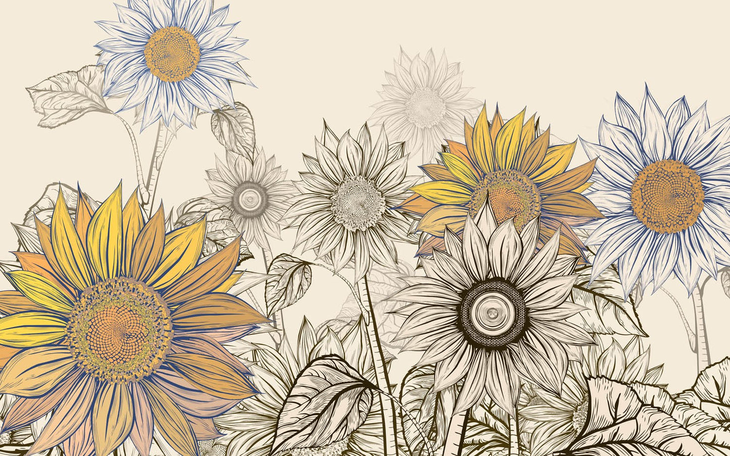 Decors Market Images for Products