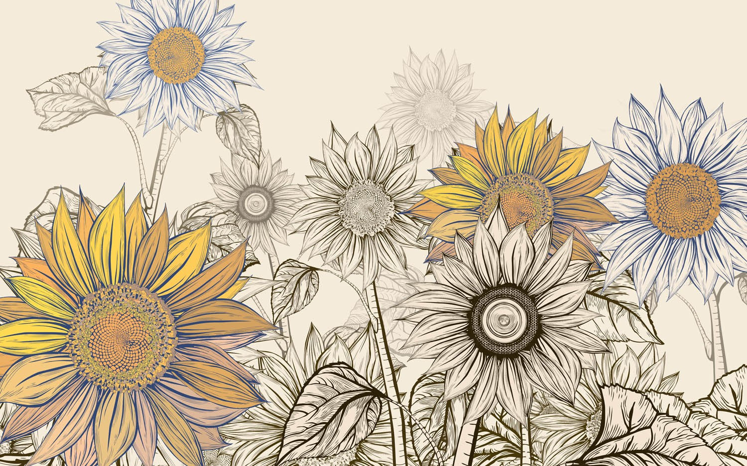 Decors Market Images for Products