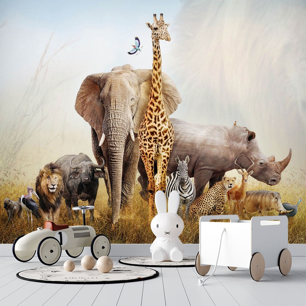 Decors Market Images for Products