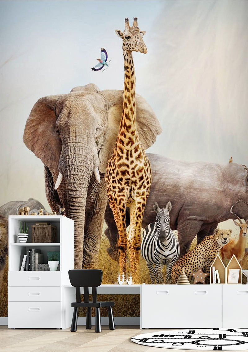 Decors Market Images for Products