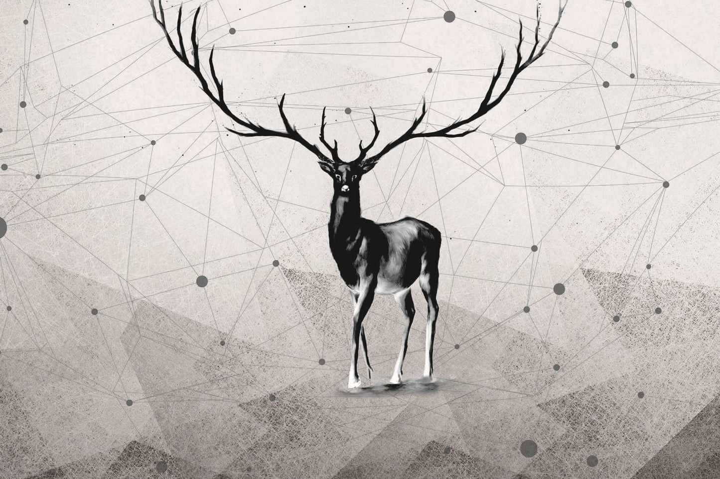 Decors Market Images for Products