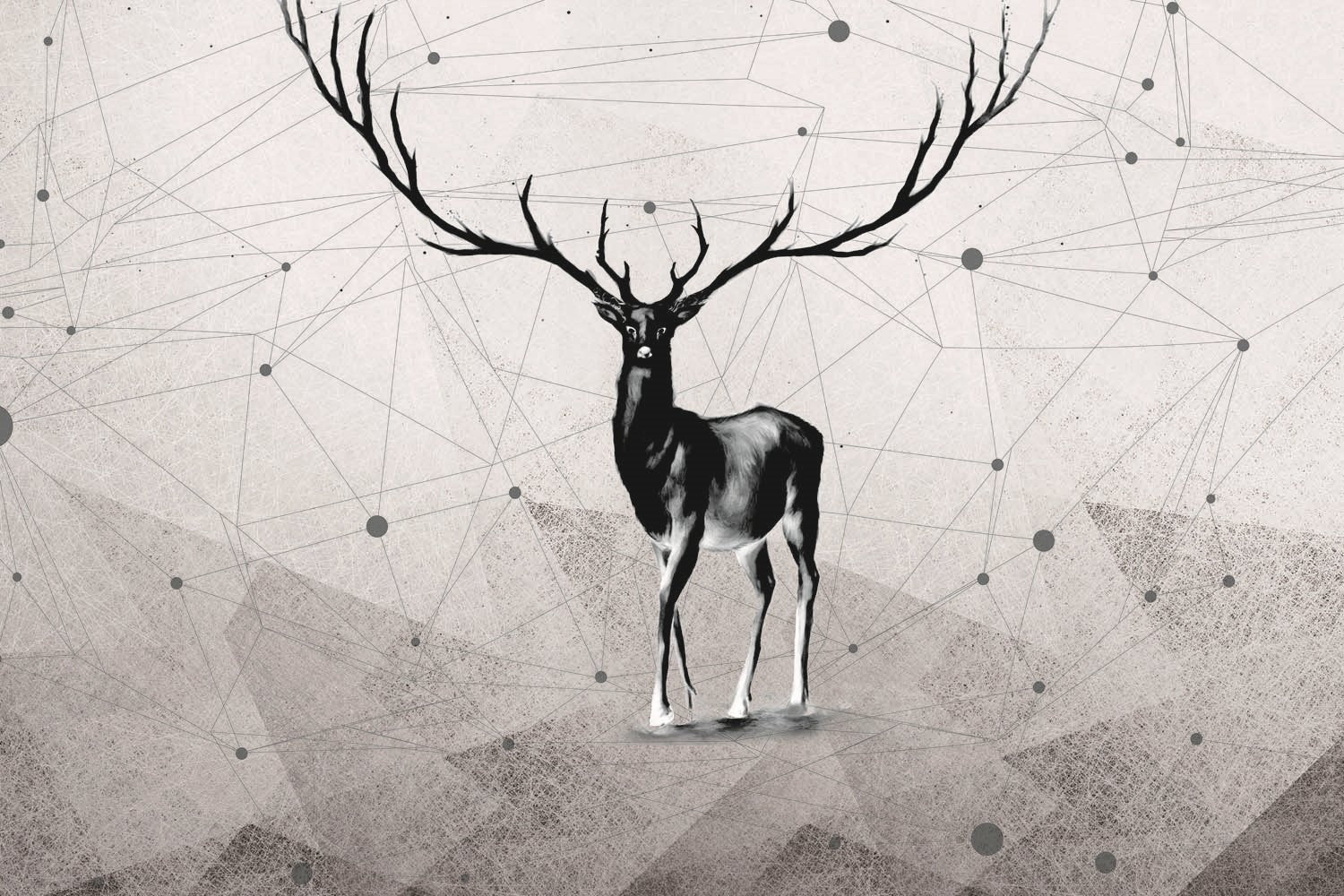 Decors Market Images for Products