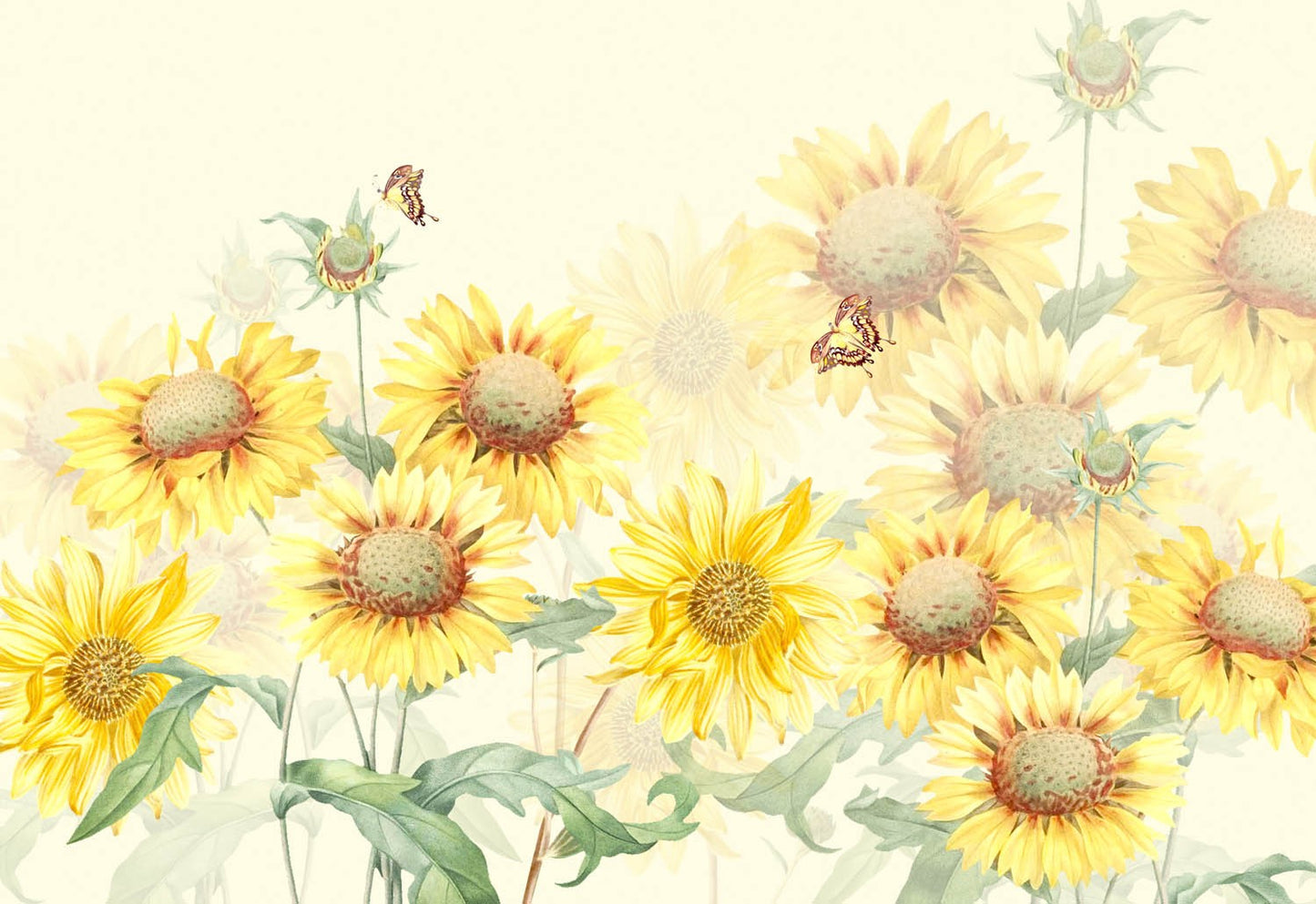 Decors Market Images for Products