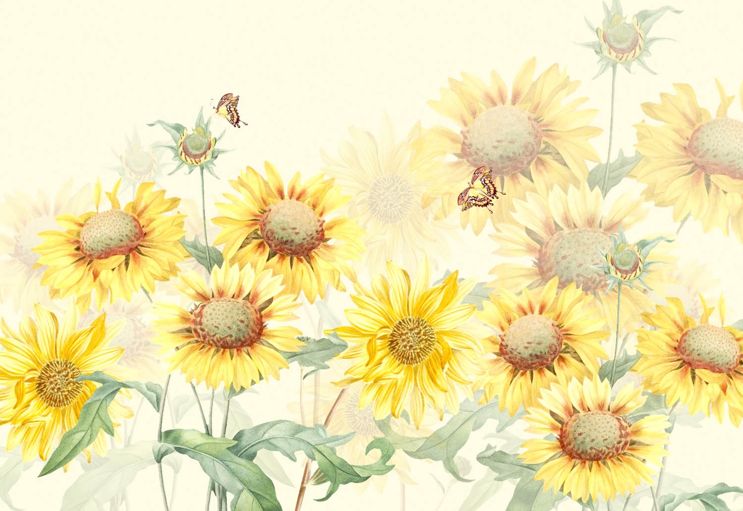 Decors Market Images for Products